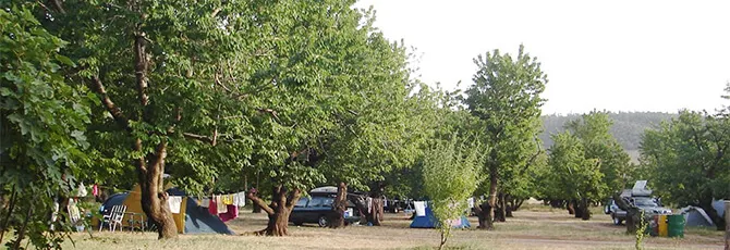 Camp Amazigh