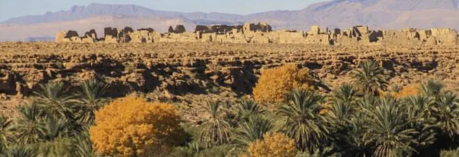 Camp Auberge Au vieux ksar