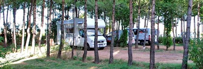 Kzar Timnay Camp