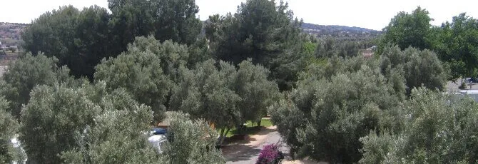 Camping Oliveras